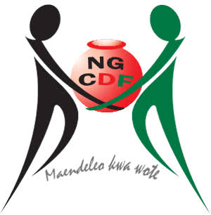 National Government logo